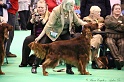 Crufts2011_2 024